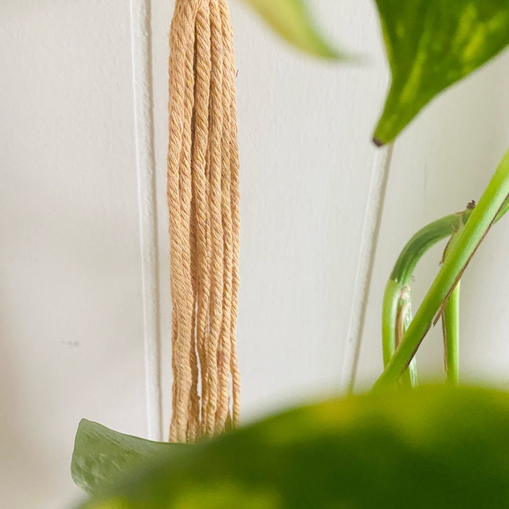 Plant macrame - Picture 6 of 6